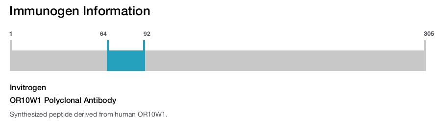 OR10W1 Polyclonal Antibody
