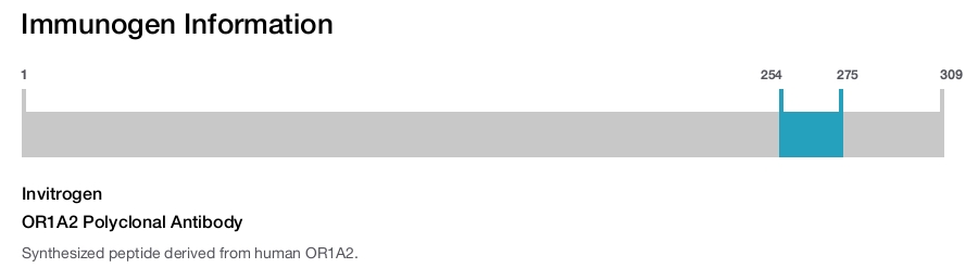 OR1A2 Polyclonal Antibody