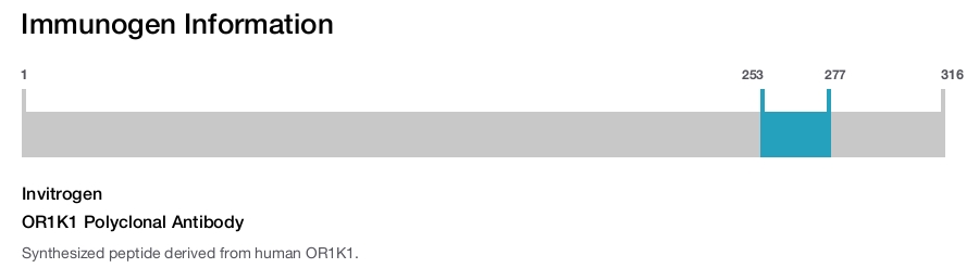 OR1K1 Polyclonal Antibody