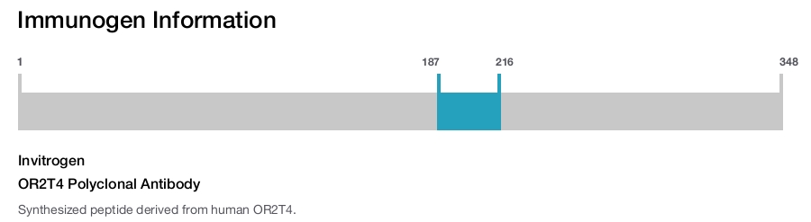 OR2T4 Polyclonal Antibody