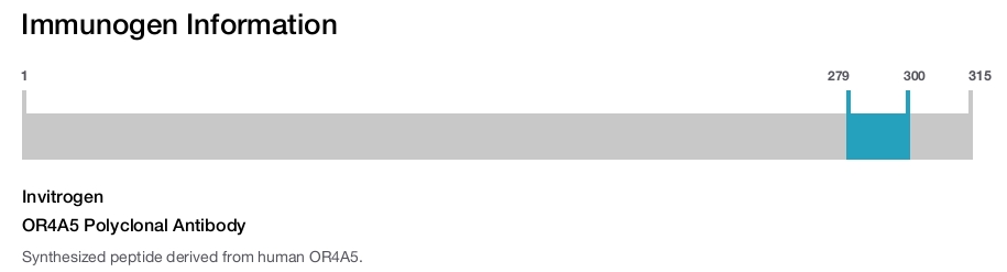 OR4A5 Polyclonal Antibody