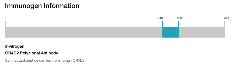 OR4D2 Polyclonal Antibody