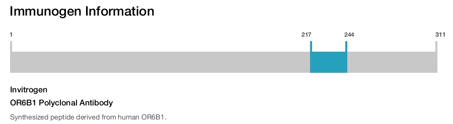 OR6B1 Polyclonal Antibody