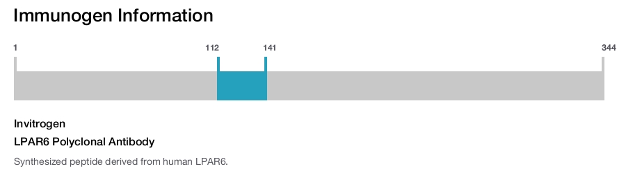 LPAR6 Polyclonal Antibody