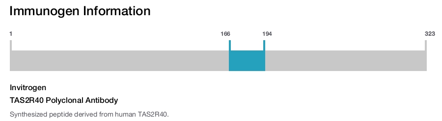 TAS2R40 Polyclonal Antibody