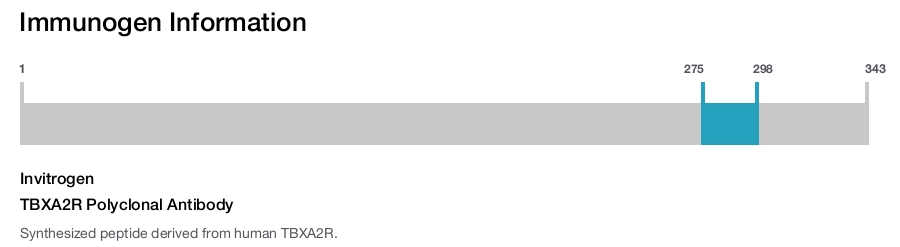 TBXA2R Polyclonal Antibody