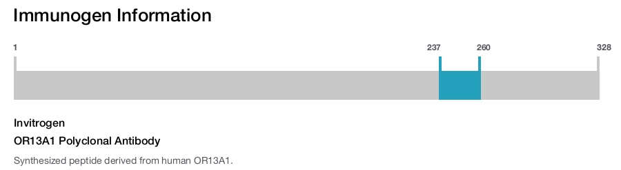 OR13A1 Polyclonal Antibody