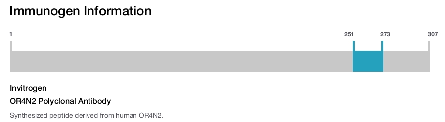 OR4N2 Polyclonal Antibody