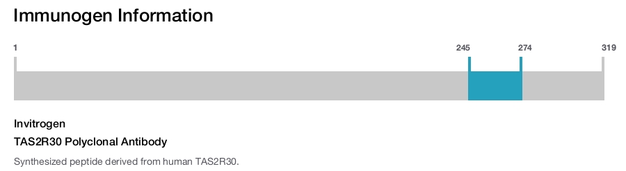 TAS2R30 Polyclonal Antibody