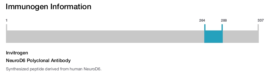 NeuroD6 Polyclonal Antibody