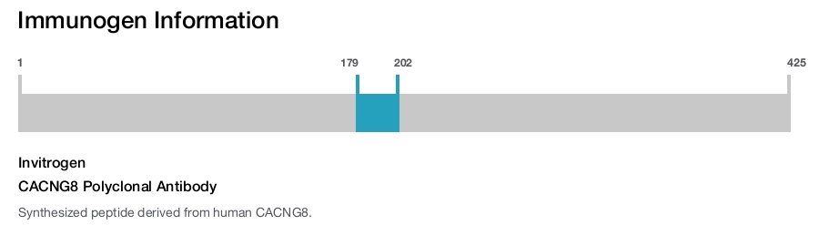 CACNG8 Polyclonal Antibody