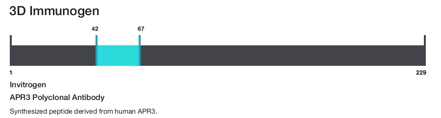APR3 Polyclonal Antibody