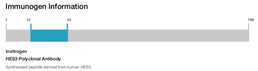 HES3 Polyclonal Antibody