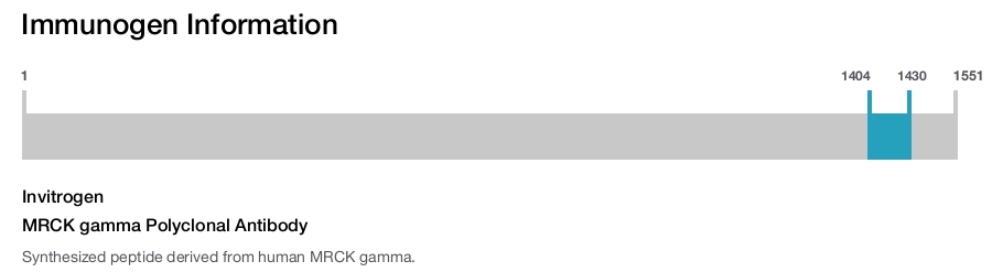 MRCK gamma Polyclonal Antibody