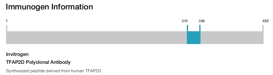 TFAP2D Polyclonal Antibody