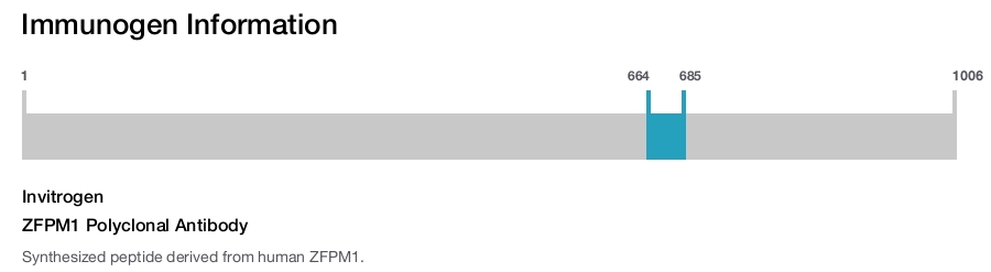 ZFPM1 Polyclonal Antibody