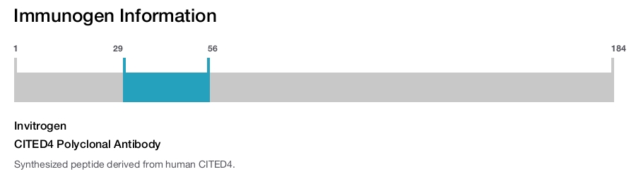 CITED4 Polyclonal Antibody
