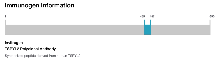 TSPYL2 Polyclonal Antibody