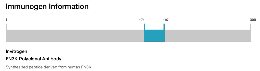 FN3K Polyclonal Antibody