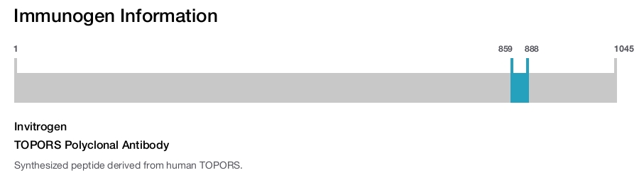 TOPORS Polyclonal Antibody