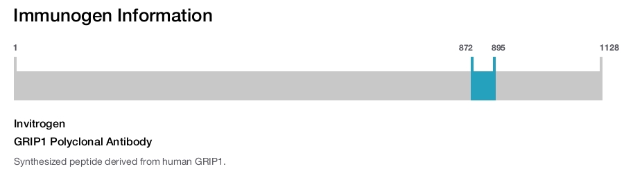 GRIP1 Polyclonal Antibody