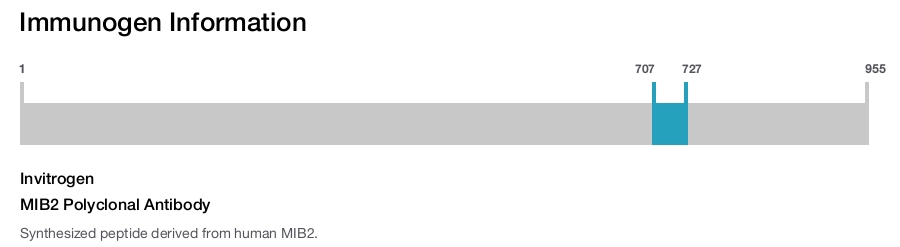MIB2 Polyclonal Antibody