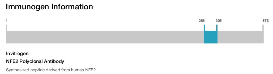 NFE2 Polyclonal Antibody