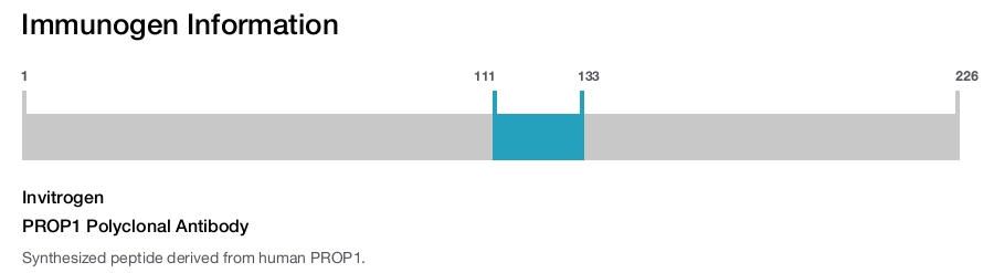 PROP1 Polyclonal Antibody