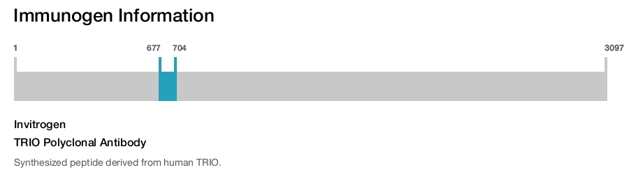 TRIO Polyclonal Antibody