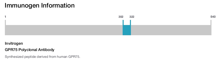 GPR75 Polyclonal Antibody