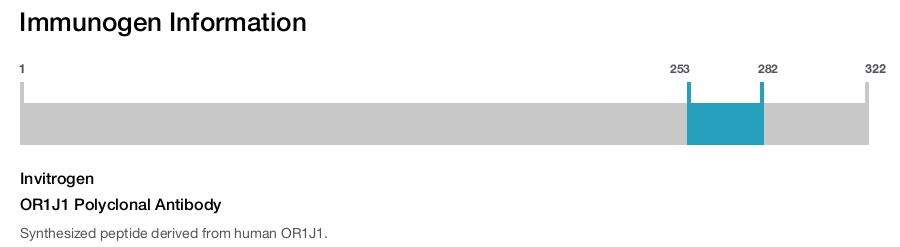 OR1J1 Polyclonal Antibody