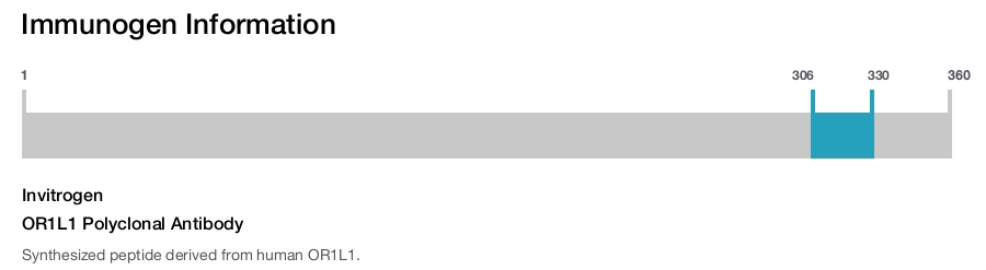 OR1L1 Polyclonal Antibody