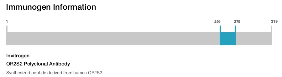 OR2S2 Polyclonal Antibody