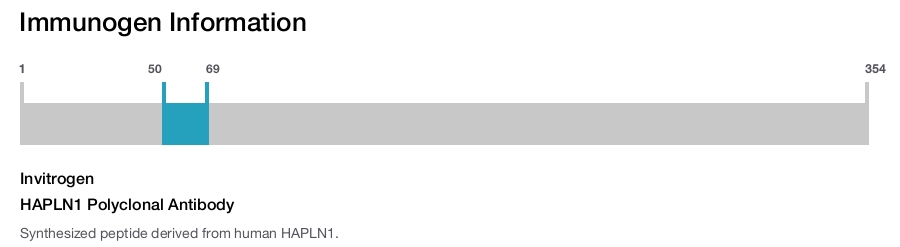HAPLN1 Polyclonal Antibody