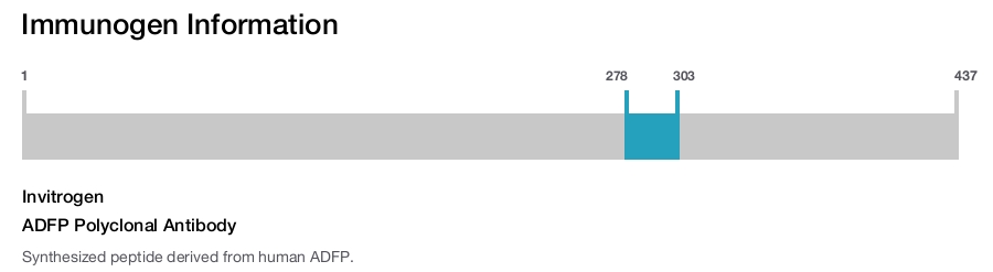 ADFP Polyclonal Antibody