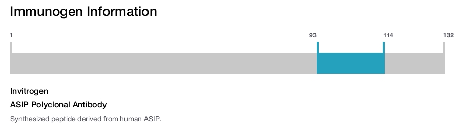 ASIP Polyclonal Antibody