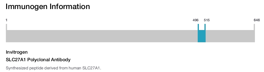 SLC27A1 Polyclonal Antibody