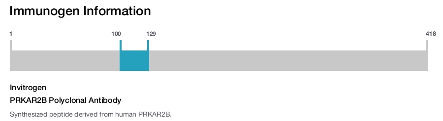 PRKAR2B Polyclonal Antibody