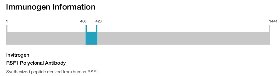 RSF1 Polyclonal Antibody