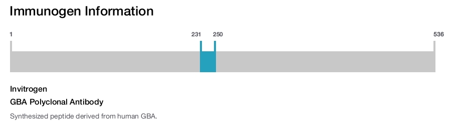 GBA Polyclonal Antibody