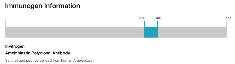 Ameloblastin Polyclonal Antibody