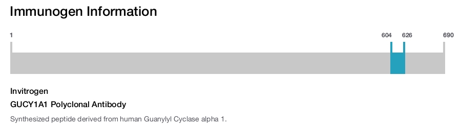 GUCY1A1 Polyclonal Antibody