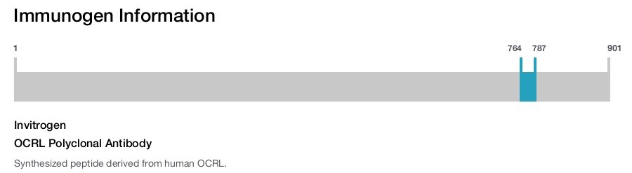 OCRL Polyclonal Antibody