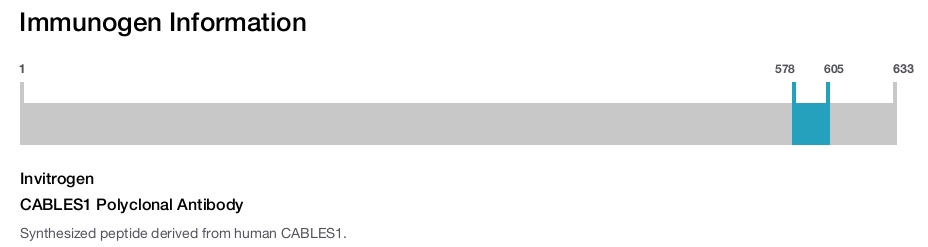 CABLES1 Polyclonal Antibody