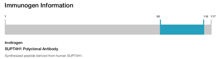 SUPT4H1 Polyclonal Antibody