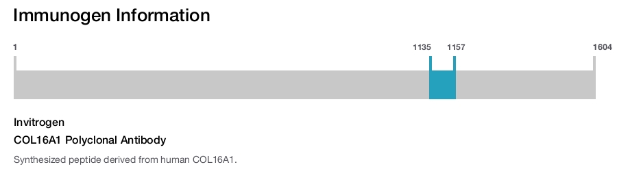 COL16A1 Polyclonal Antibody