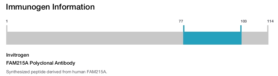 FAM215A Polyclonal Antibody