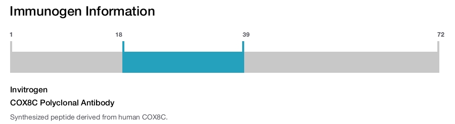 COX8C Polyclonal Antibody