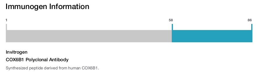 COX6B1 Polyclonal Antibody