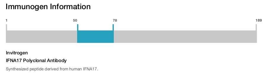 IFNA17 Polyclonal Antibody